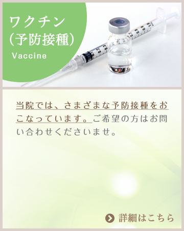 ワクチン（予防接種）:当院では、さまざまな予防接種をおこなっています。ご希望の方はお問い合わせくださいませ。